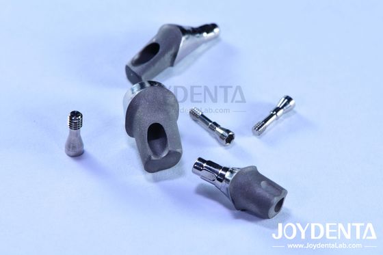 kopen Gepersonaliseerde tandheelkundige implantaten abutments en staven Interne hex verbinding online vervaardiging