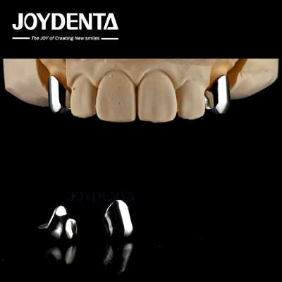 kopen Precision Removable Prothesis Tandheelkundige implantaten Aanhangsels Makkelijk schoon Comfortabel passen online vervaardiging